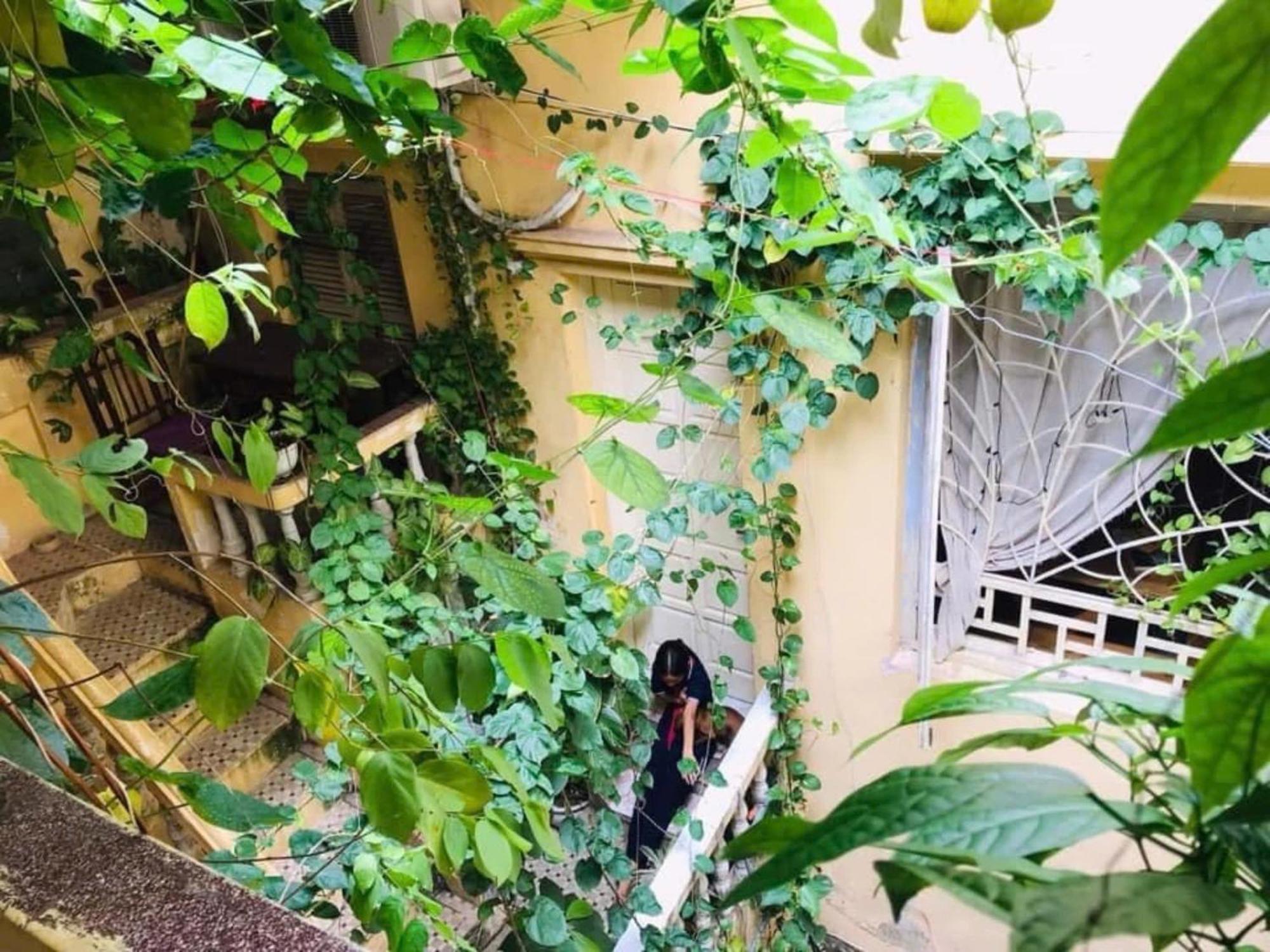 Azalea Apartment Hanoi Eksteriør billede
